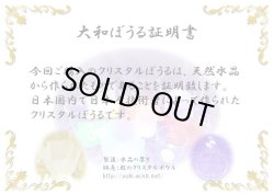 画像6: ミニプラクティショナーのご紹介　キルトバッグ付き